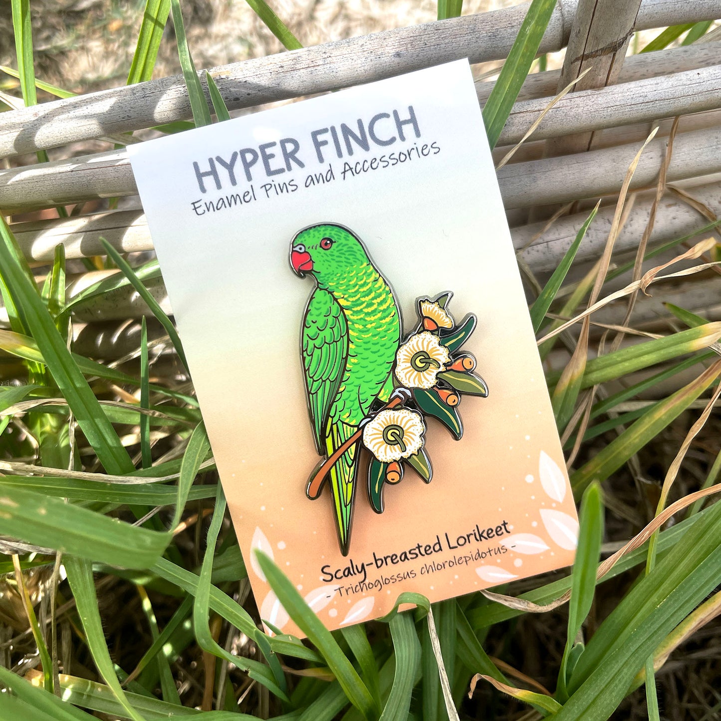 Scaly-breasted Lorikeet Enamel Pin
