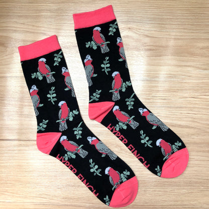 Galah Socks