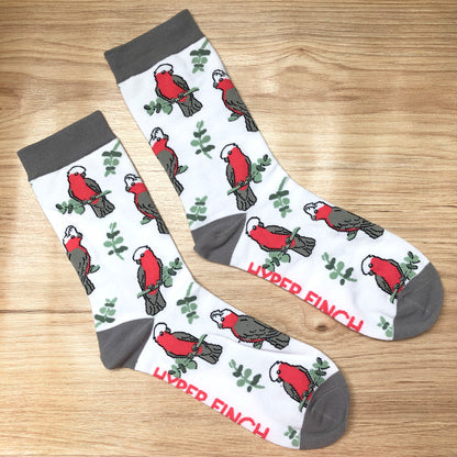 Galah Socks