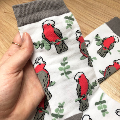 Galah Socks