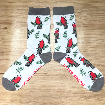 Galah Socks