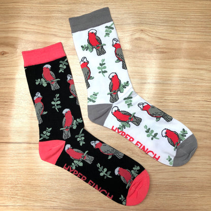 Galah Socks