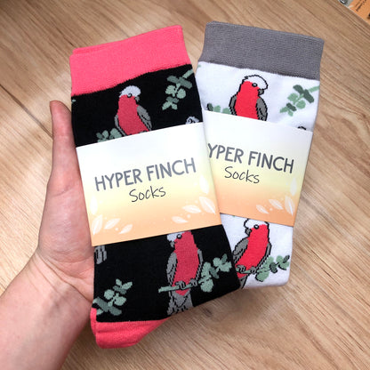 Galah Socks