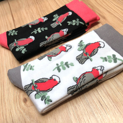 Galah Socks