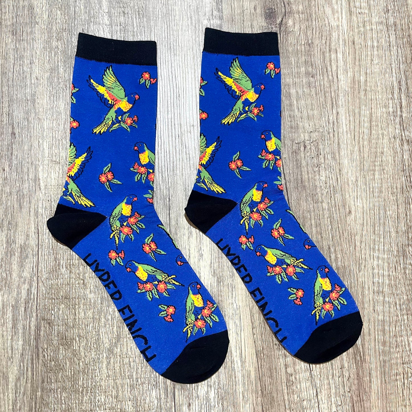 Rainbow Lorikeet Socks