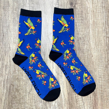 Rainbow Lorikeet Socks