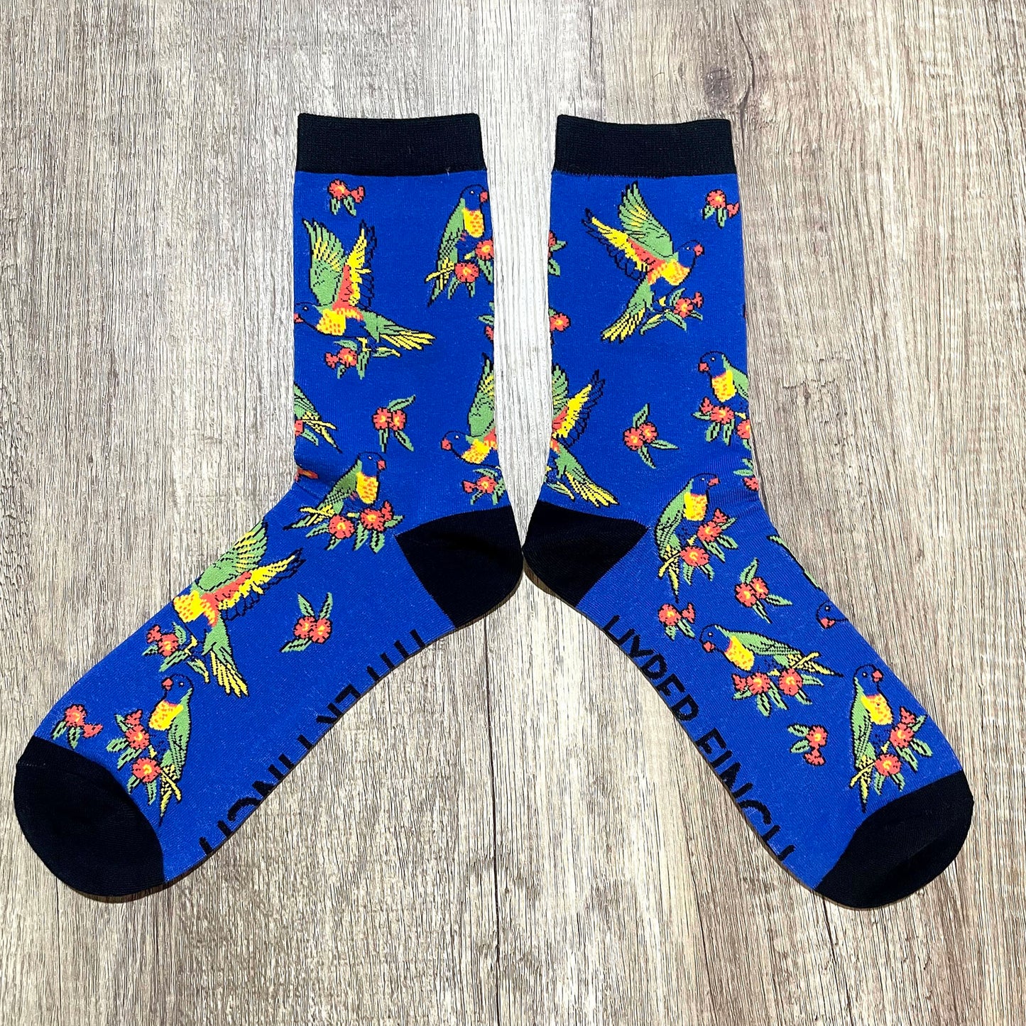 Rainbow Lorikeet Socks