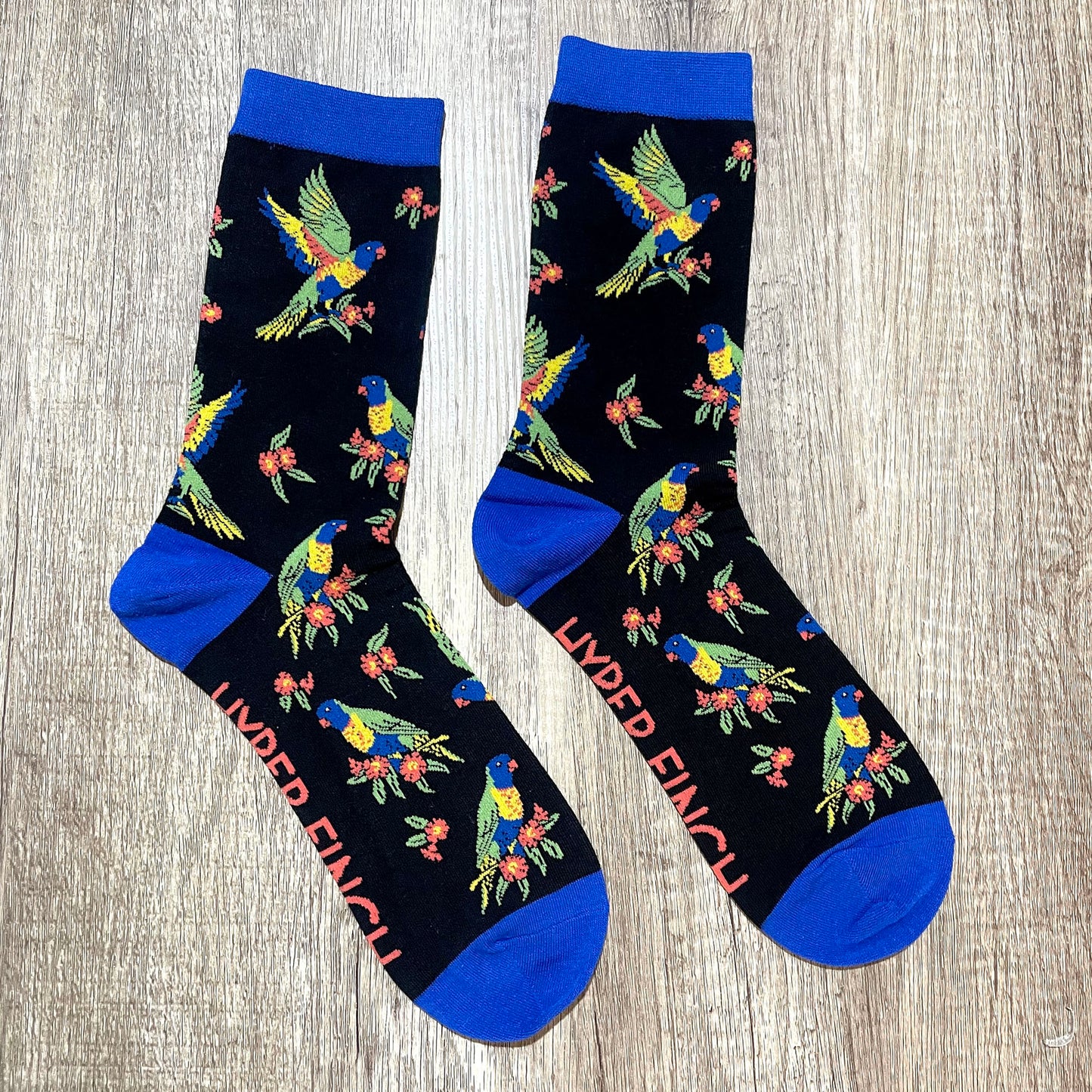 Rainbow Lorikeet Socks