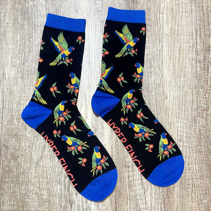 Rainbow Lorikeet Socks