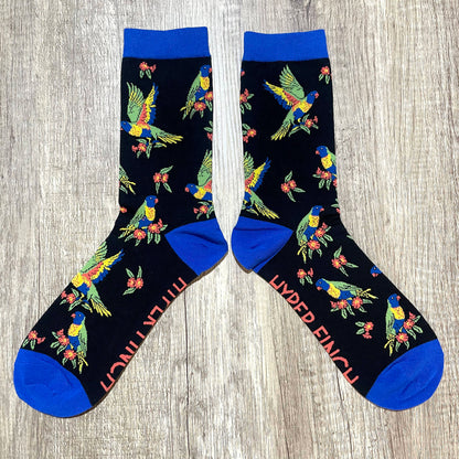Rainbow Lorikeet Socks