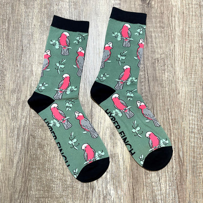 Galah Socks