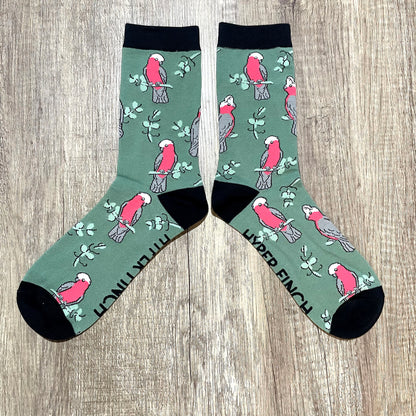 Galah Socks