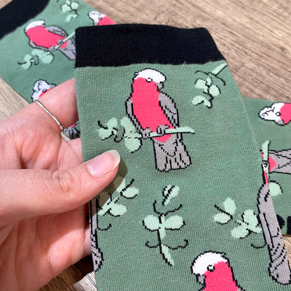 Galah Socks