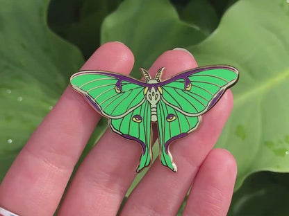 Luna Moth Hard Enamel Pin