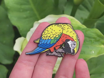 Comet The Camelot Macaw Enamel Pin