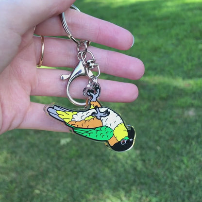 ChiChi the Black-headed Caique Keychain