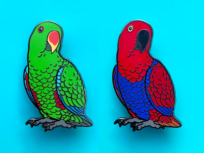 Eclectus Parrot Enamel Pin