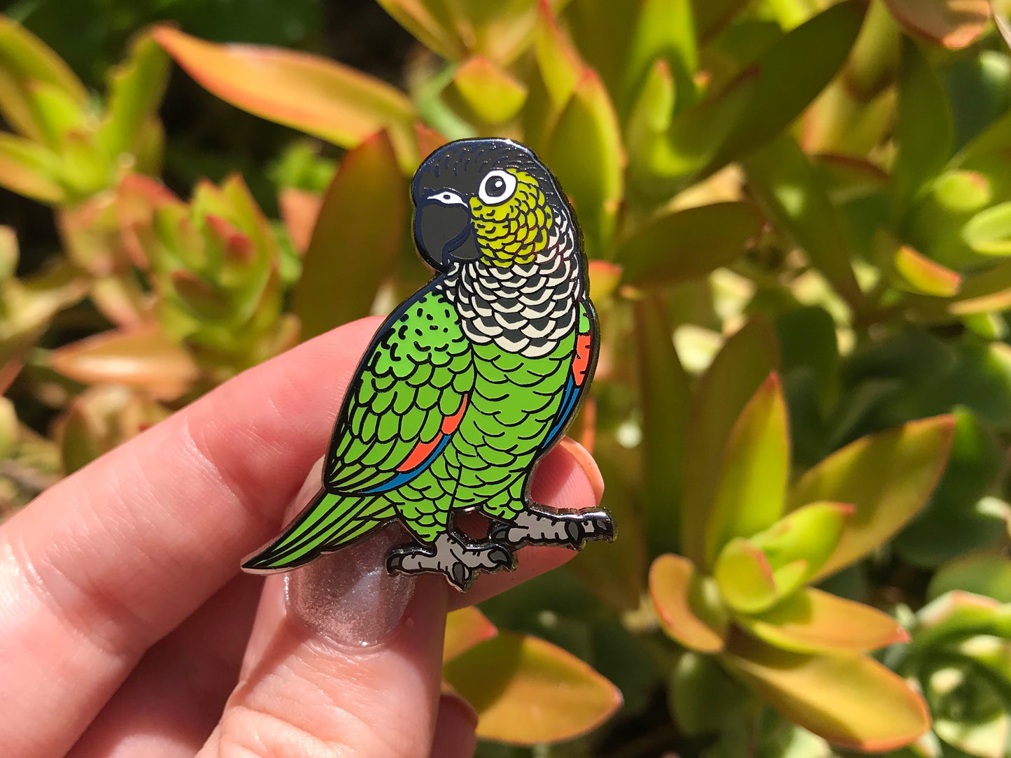 Black Capped Conure Enamel Pin
