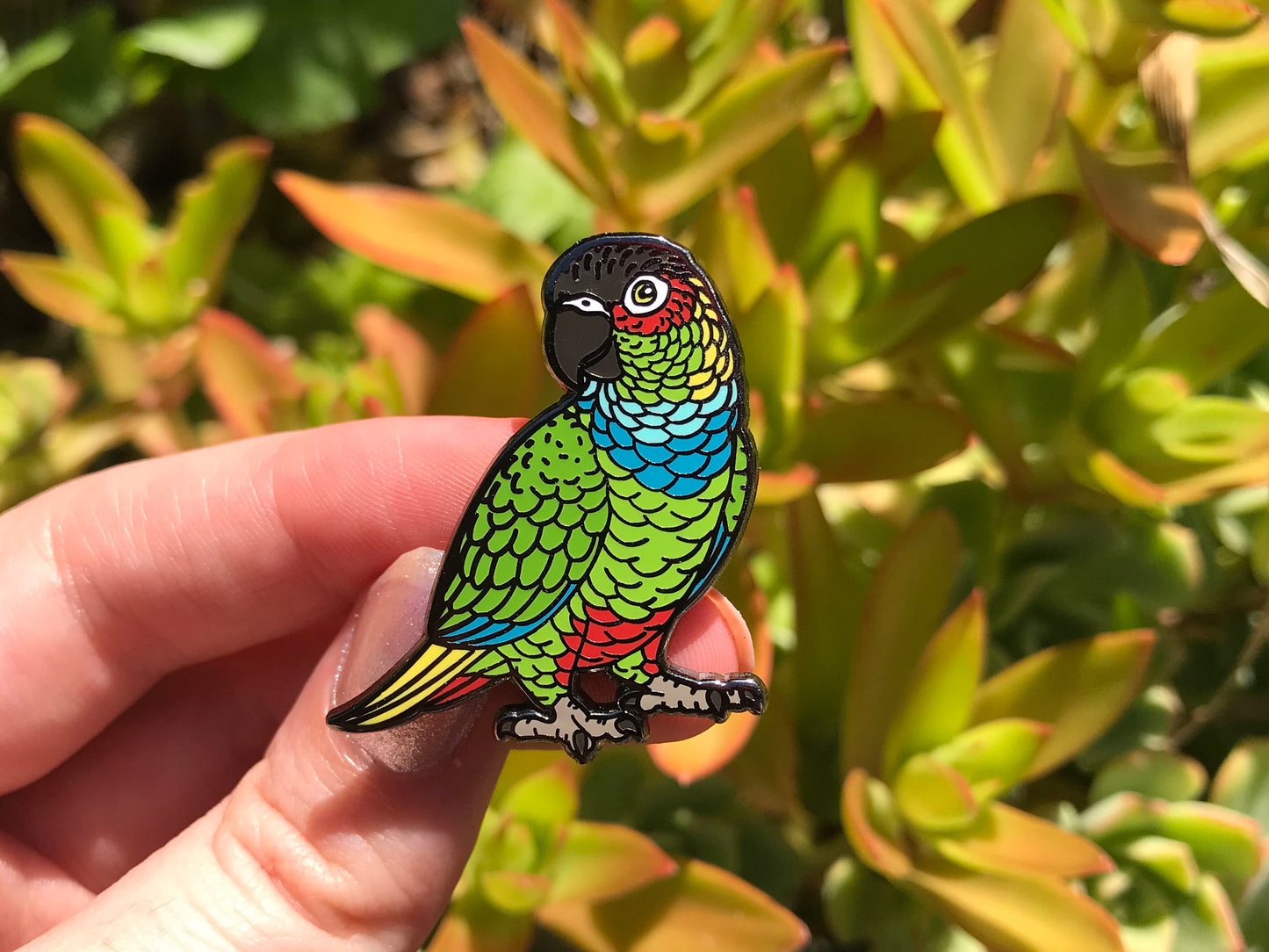 Blue Throated Conure Enamel Pin