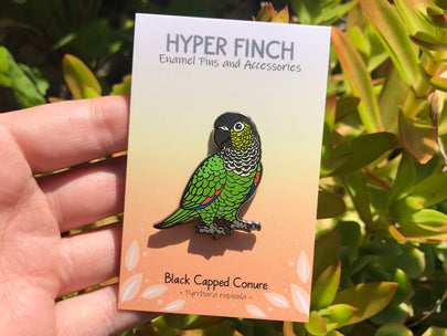 Black Capped Conure Enamel Pin