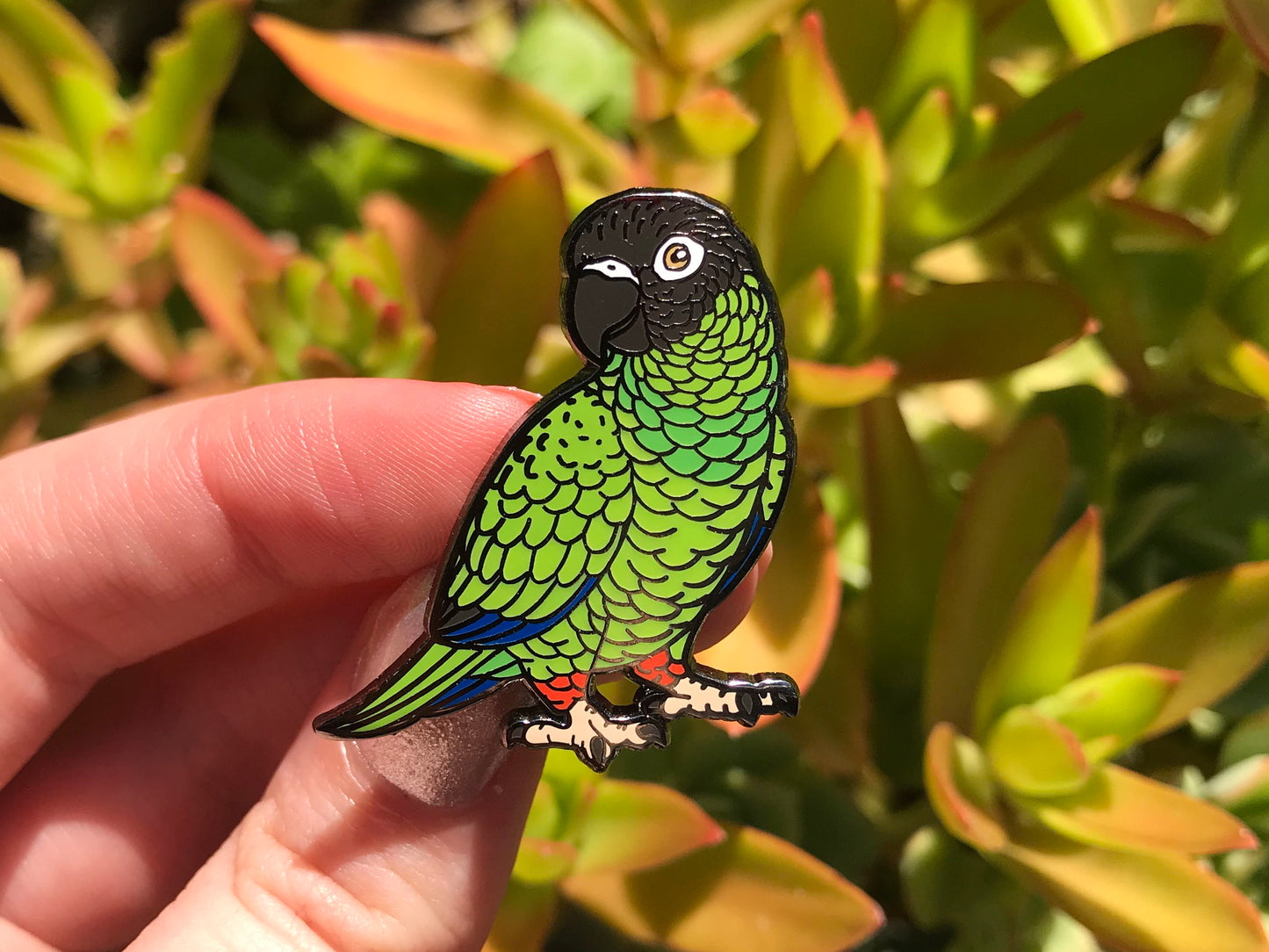 Nanday Conure Enamel Pin