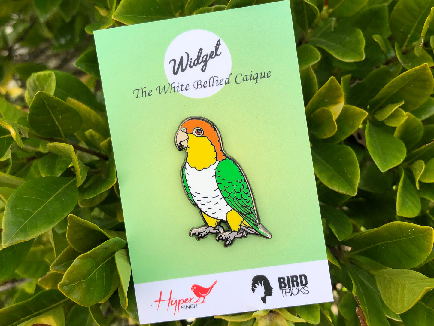 Widget the White-Bellied Caique Enamel Pin