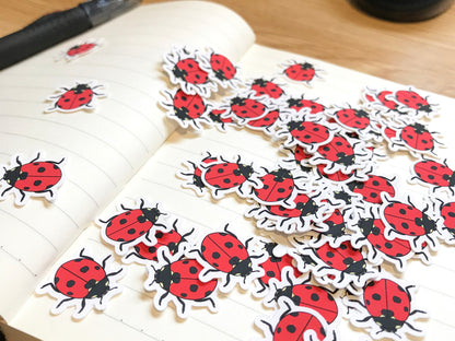 Lady Beetle Mini Sticker Pack (20 pack)