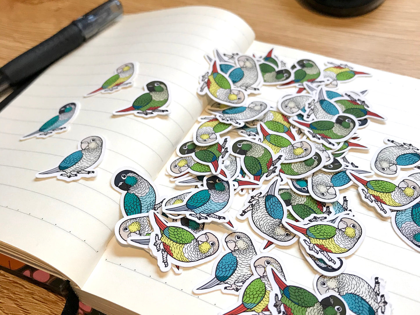 Mixed Green-Cheeked Conure Mini Sticker Pack (20 pack)