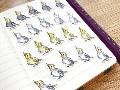 Mixed Cockatiel Mini Sticker Pack (20 pack)