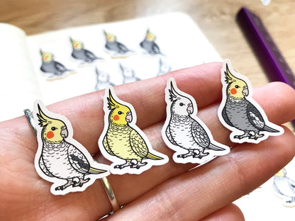 Mixed Cockatiel Mini Sticker Pack (20 pack)