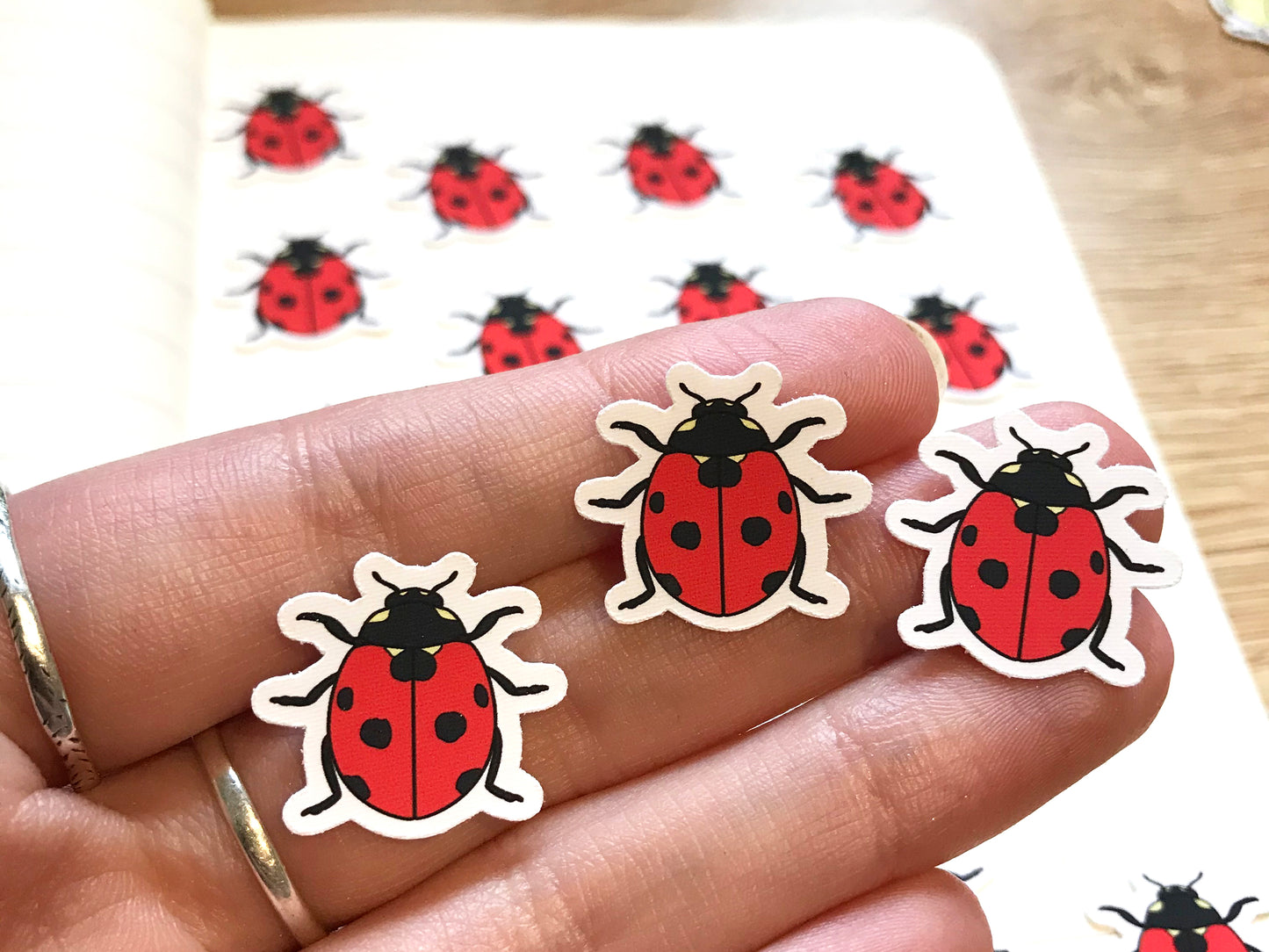 Lady Beetle Mini Sticker Pack (20 pack)