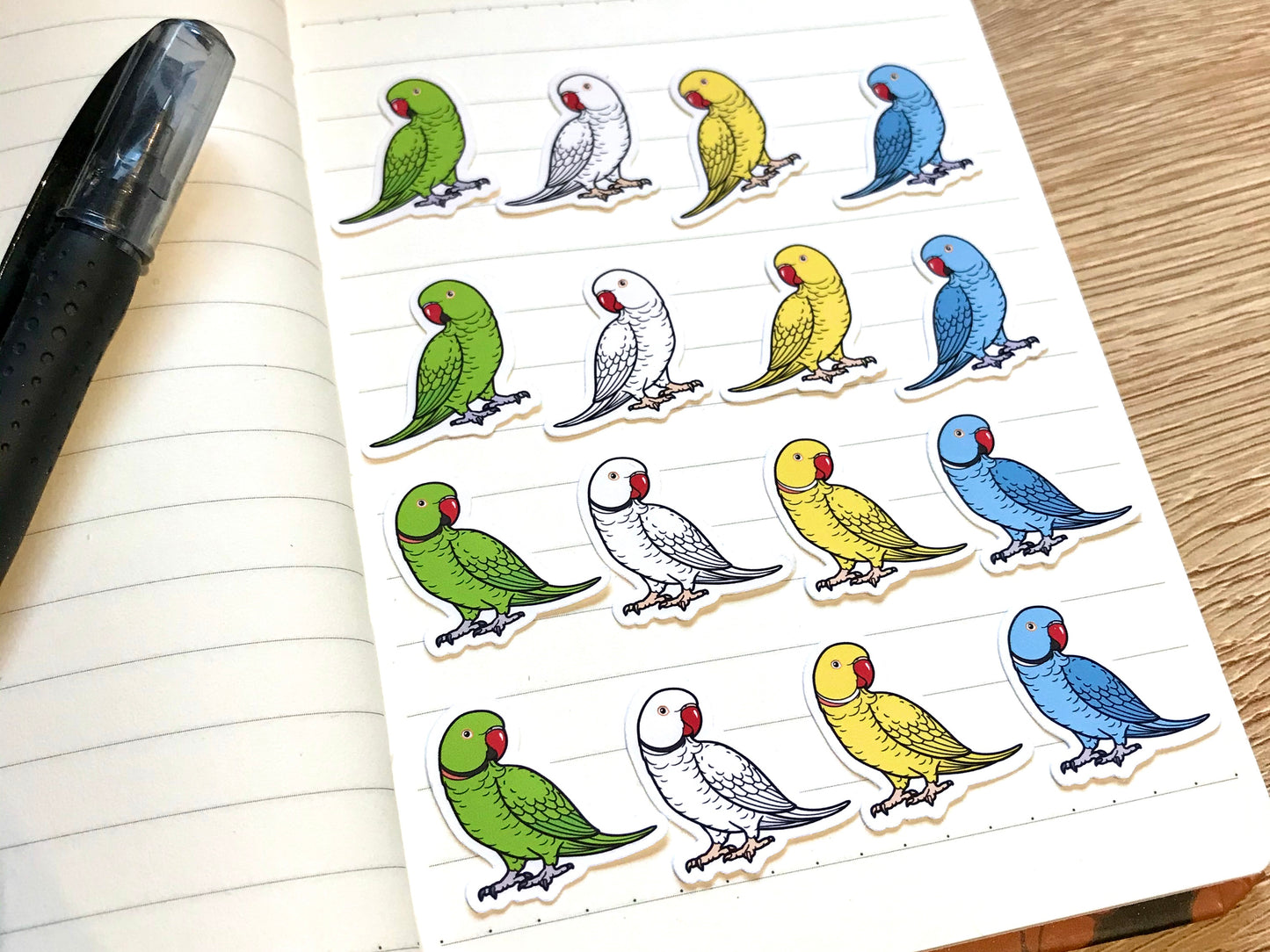 Mixed Indian Ringneck Mini Sticker Pack (20 pack)