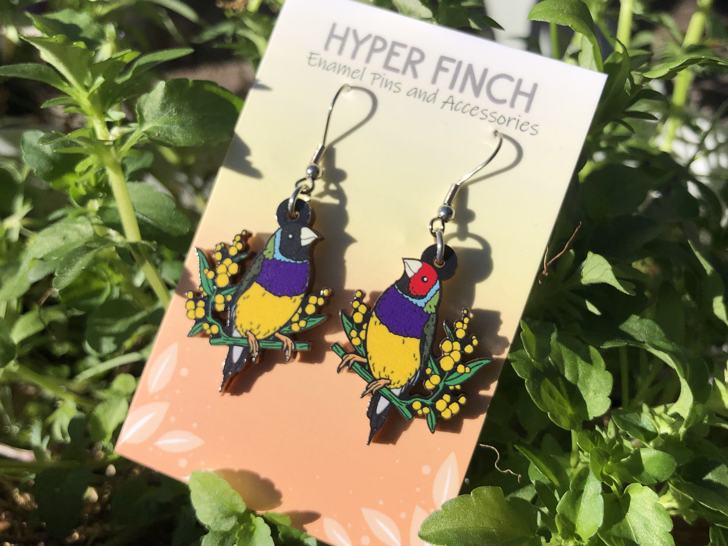 Gouldian Finch Wooden Earrings