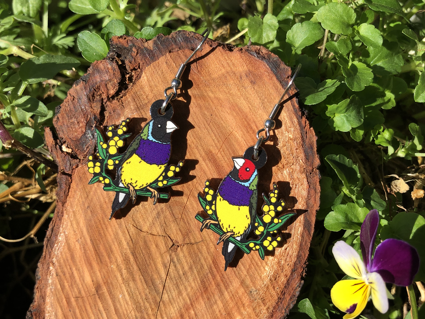 Gouldian Finch Wooden Earrings