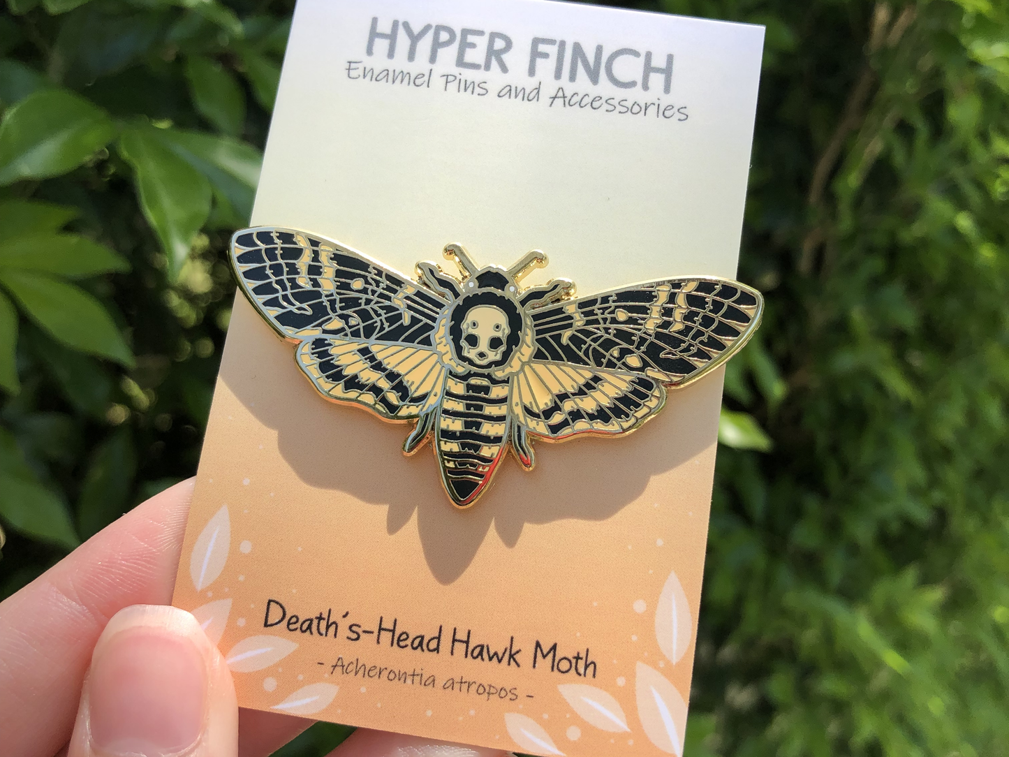 Death's-head Hawkmoth Enamel Pin (Gold Variant)