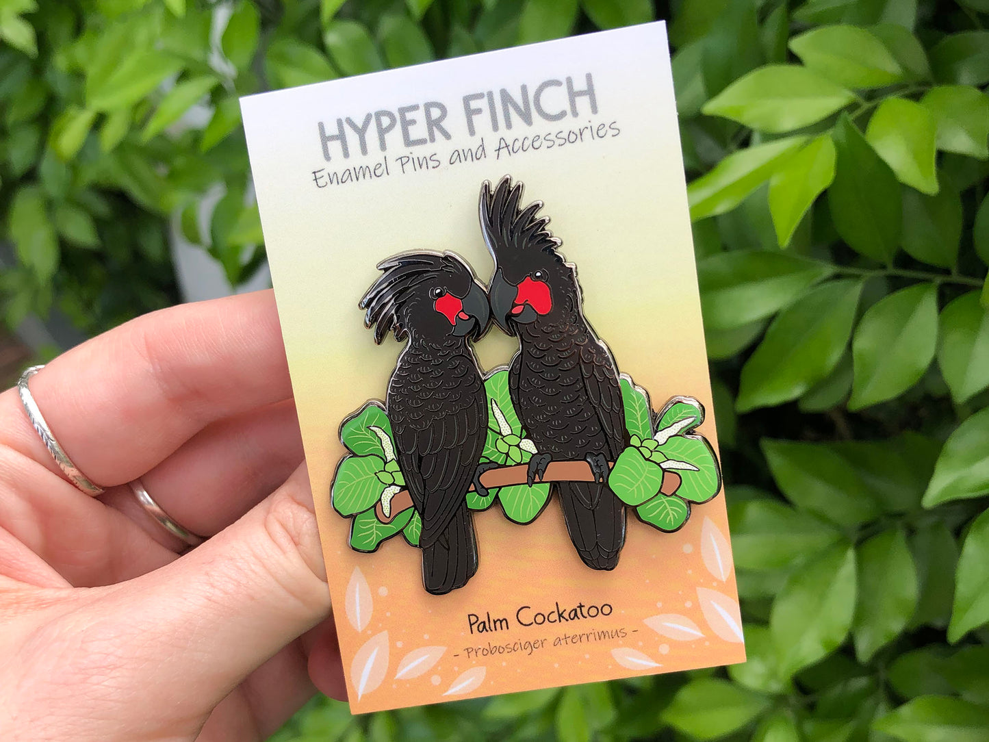 Palm Cockatoos Enamel Pin