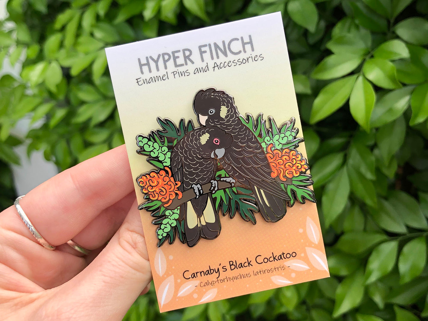 Carnaby’s / Short-billed Black Cockatoos Enamel Pin
