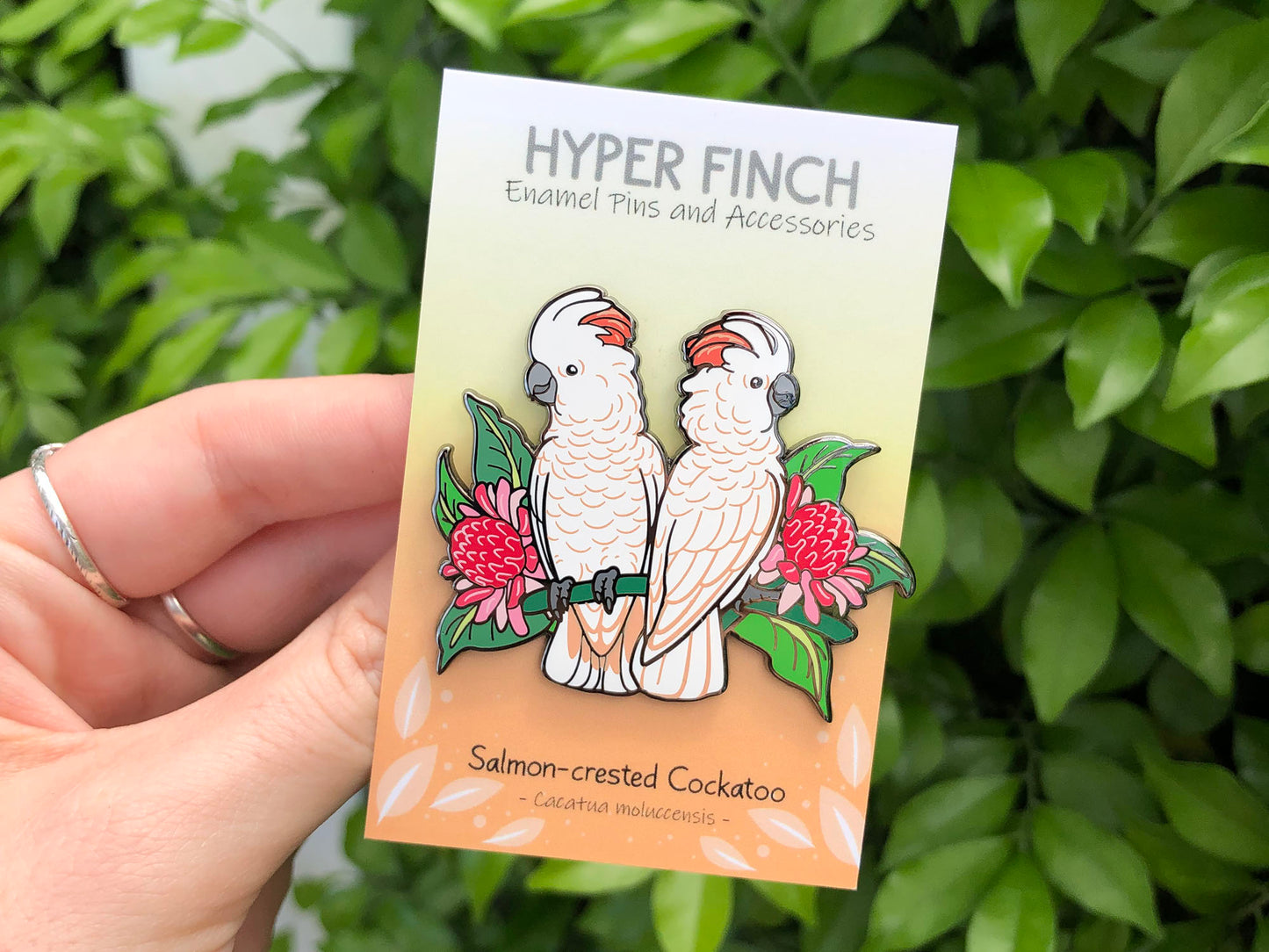 Moluccan / Salmon-crested Cockatoos Enamel Pin