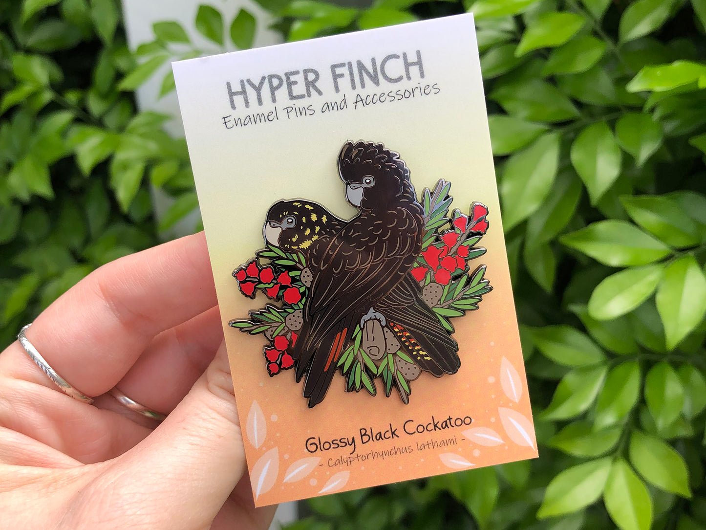 Glossy Black Cockatoos Enamel Pin