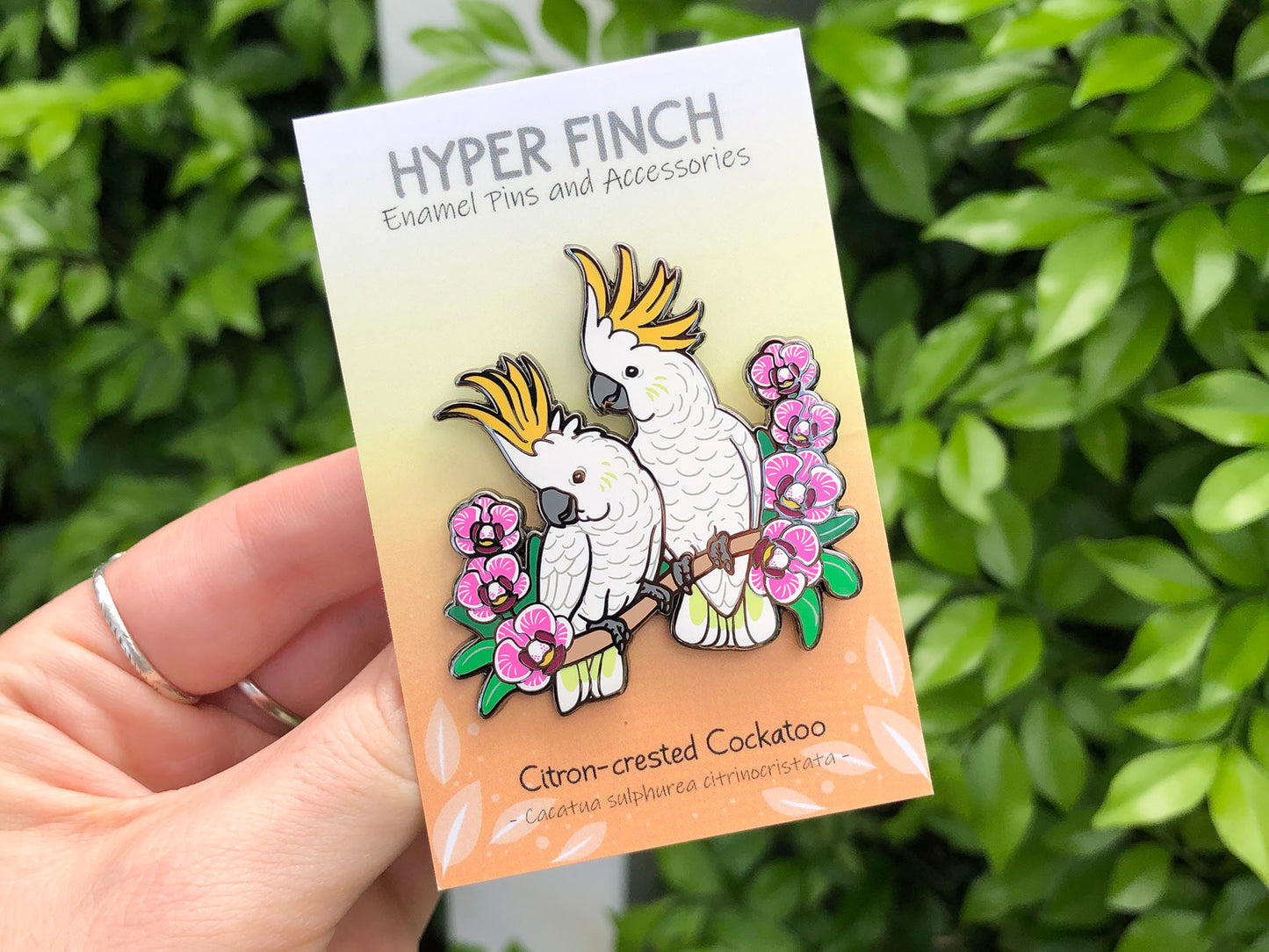 Citron-crested Cockatoos Enamel Pin