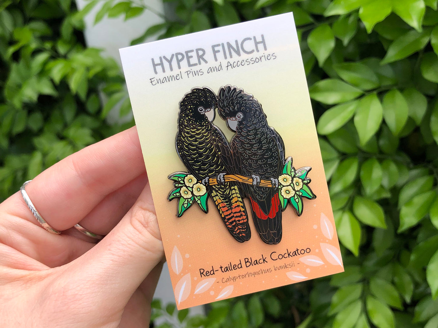 Red-tailed Black Cockatoos Enamel Pin