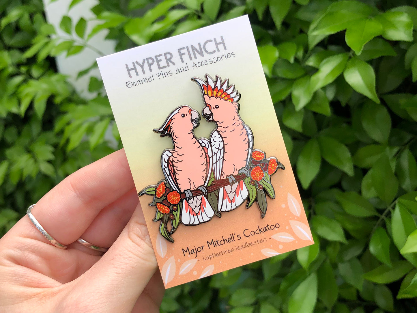 Major Mitchell's Cockatoos Enamel Pin