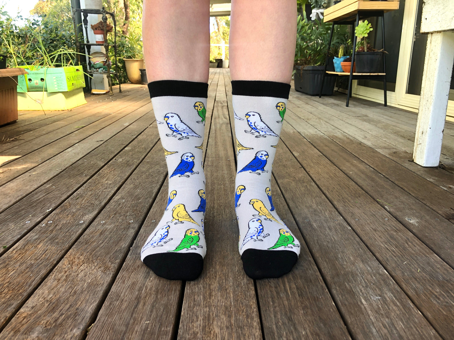 Budgie Socks
