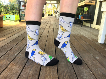 Budgie Socks