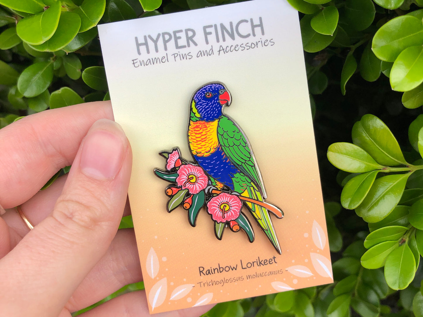 Rainbow Lorikeet Enamel Pin