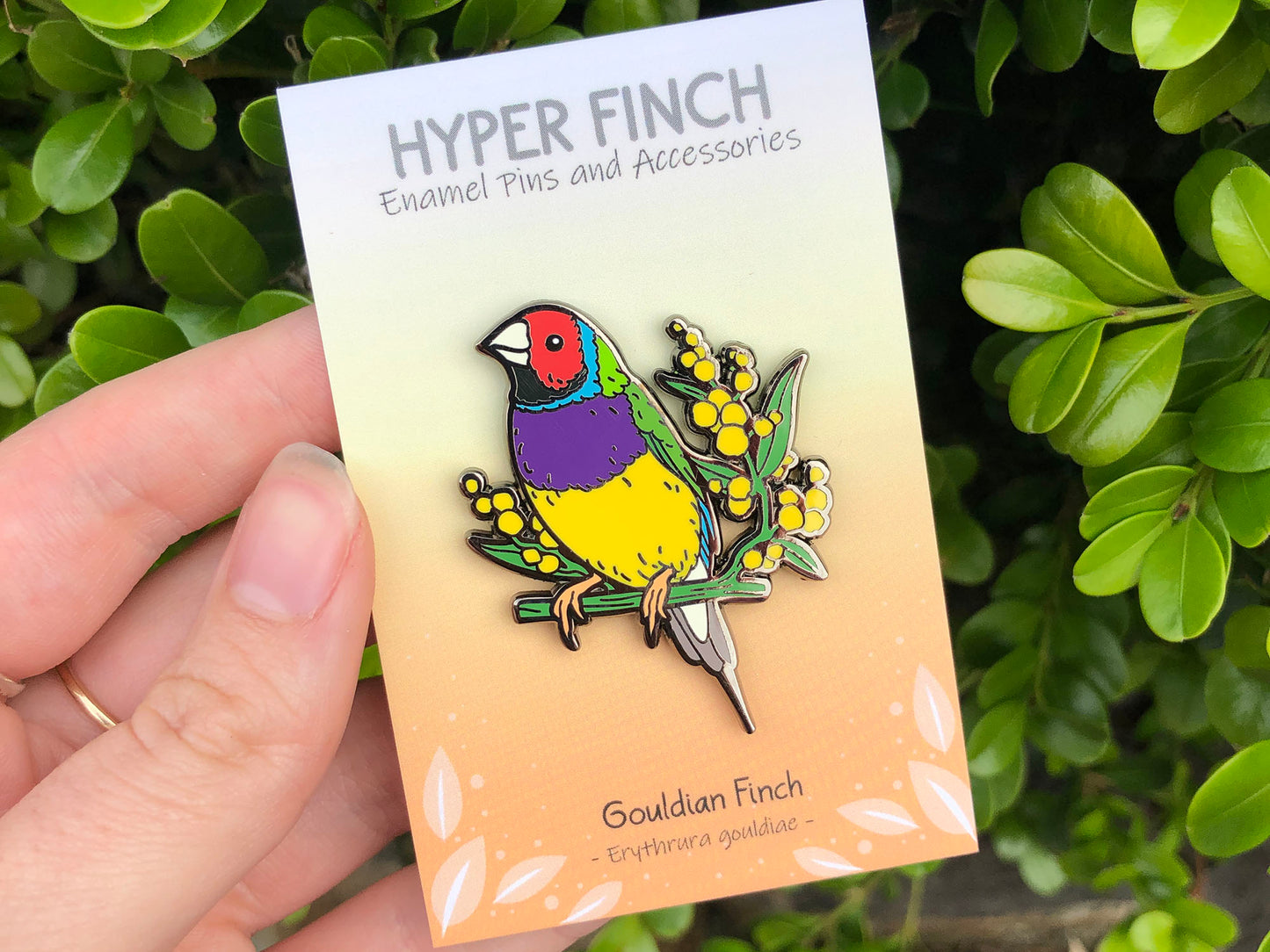 Gouldian Finch Enamel Pin