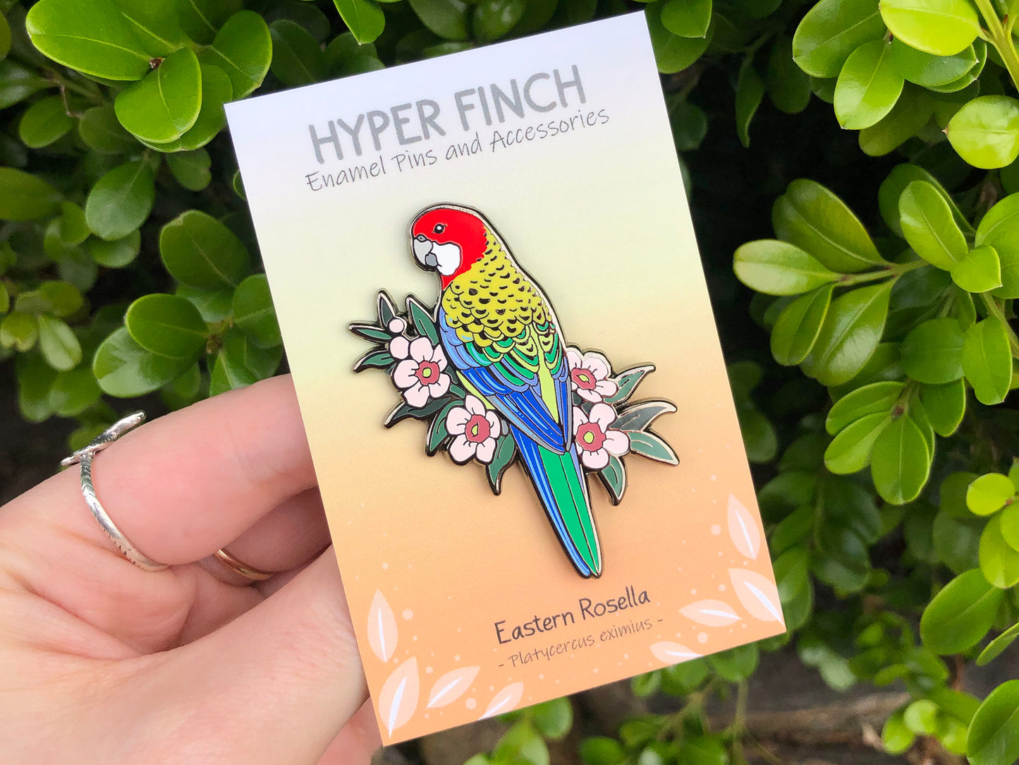 Eastern Rosella Enamel Pin