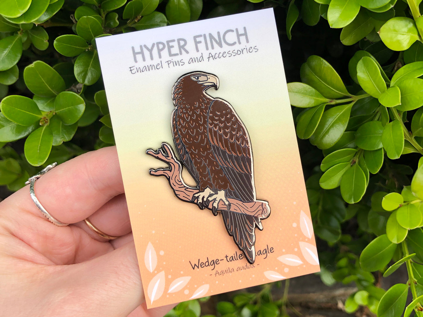 Wedge-tailed Eagle Enamel Pin