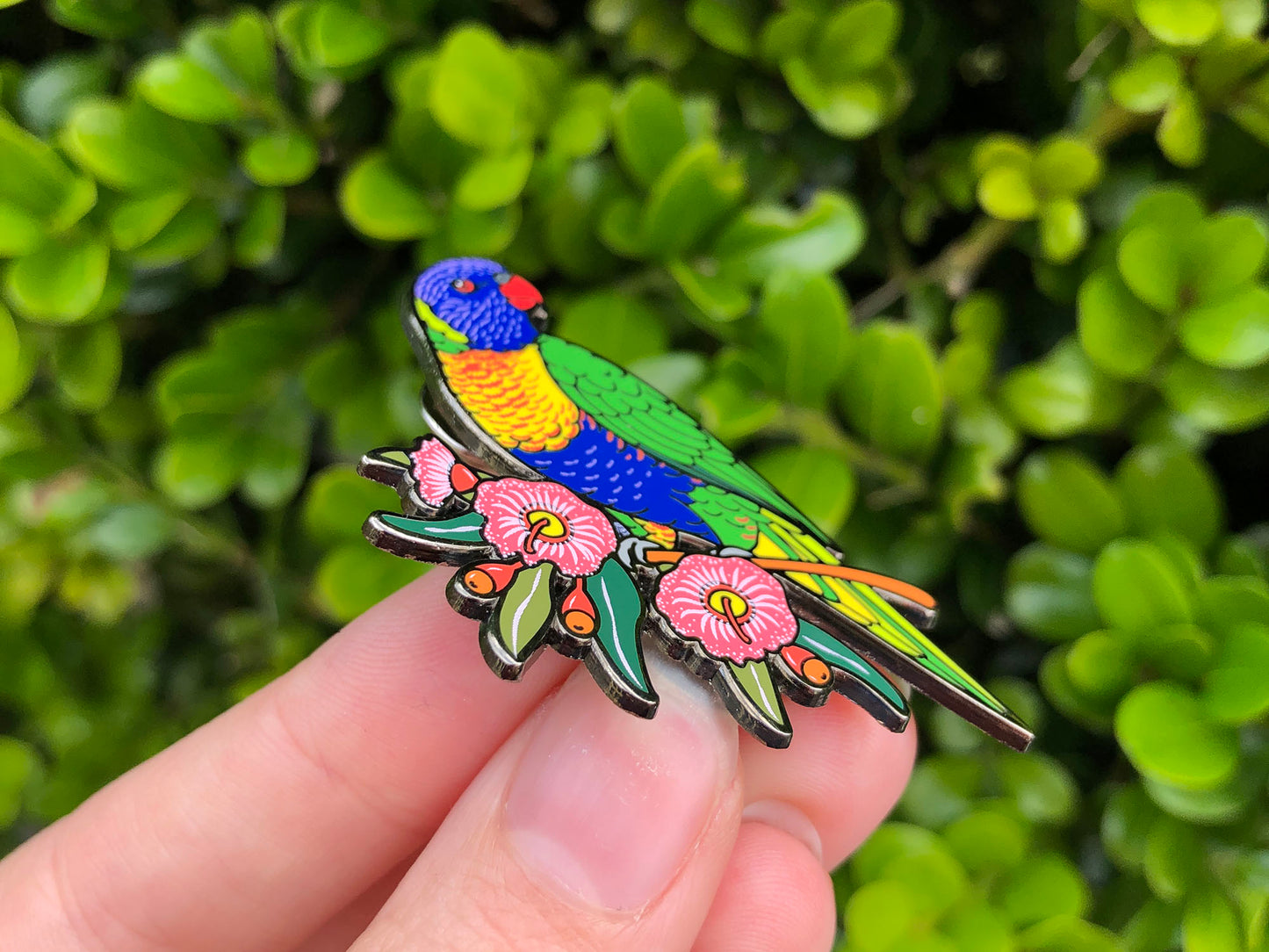 Rainbow Lorikeet Enamel Pin