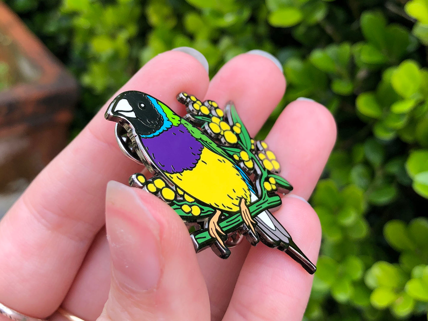 Gouldian Finch Enamel Pin